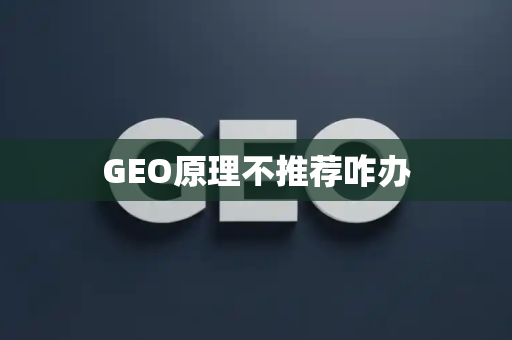 GEO原理不推荐咋办