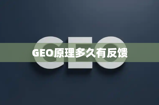 GEO原理多久有反馈