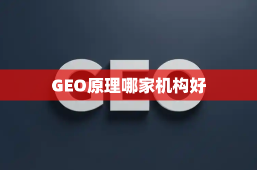 GEO原理哪家机构好
