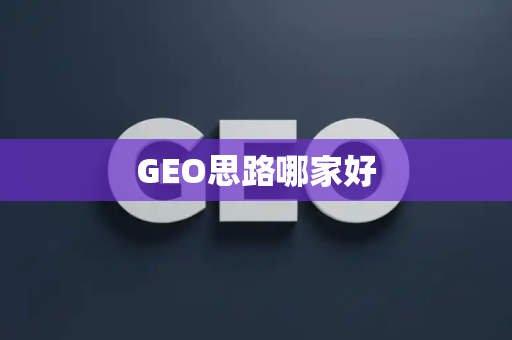 GEO思路哪家好