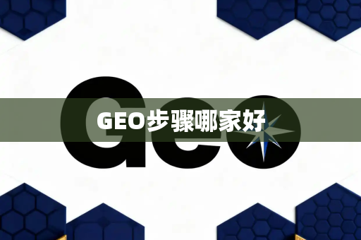 GEO步骤哪家好